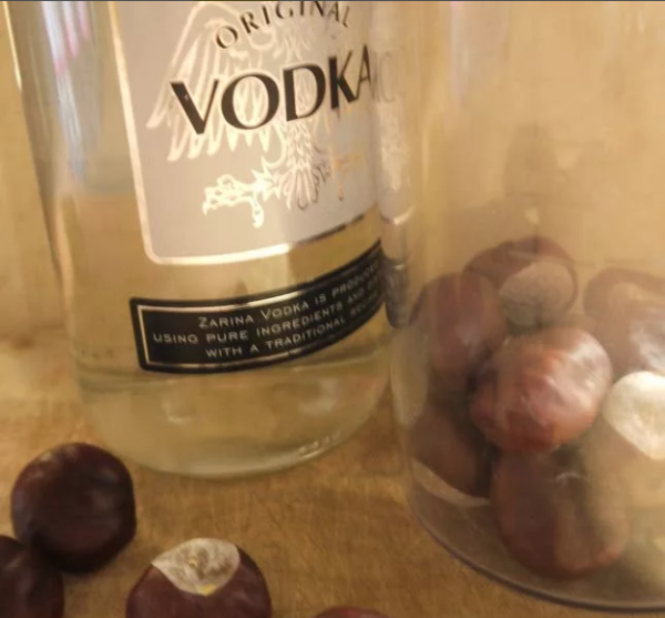 Настоянка кінського каштана: рецепти приготування в домашніх умовах на горілки і спирту, лікувальні властивості, протипоказання та інструкція по застосуванню